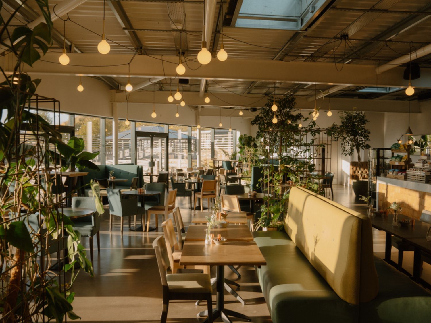 Whitekirk Hill Restaurant